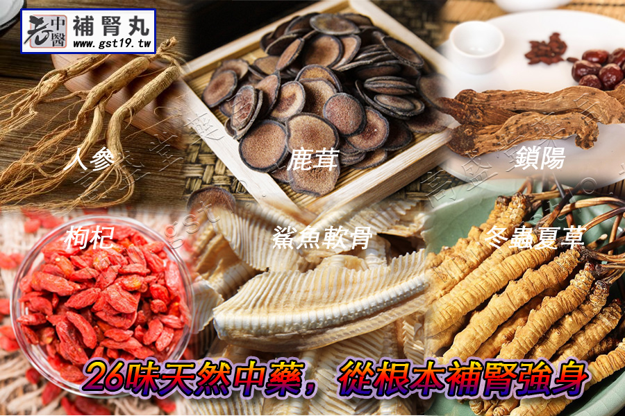 老中醫補腎丸，26味中藥.jpg