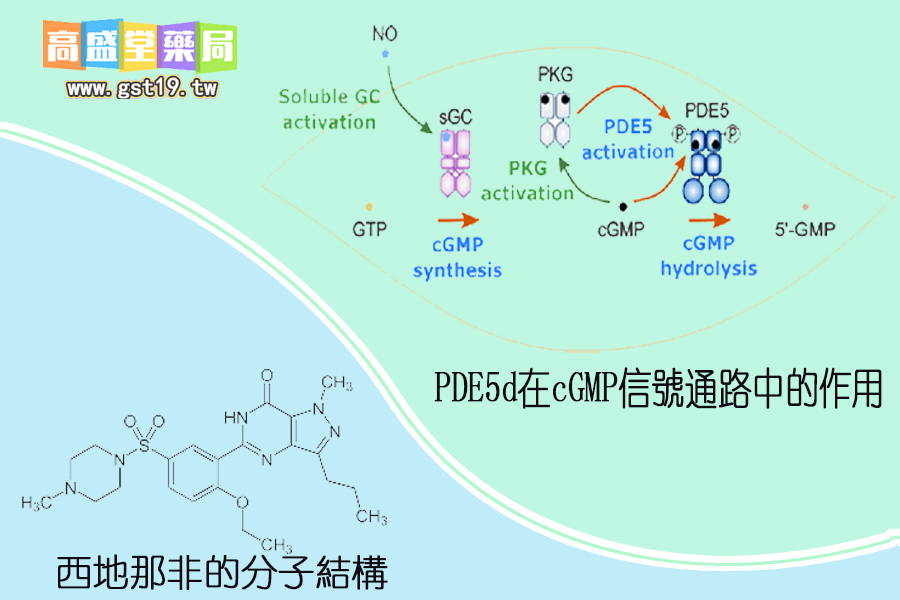 西地那非的分子結構.jpg
