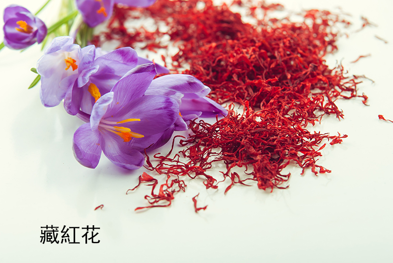 藏紅花.jpg