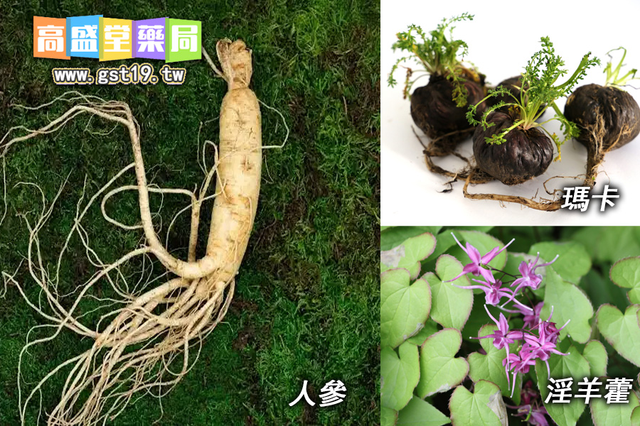 人參瑪卡淫羊藿.jpg