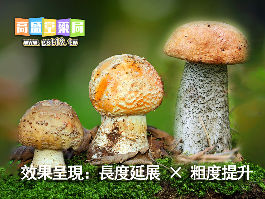 1765161534296481.jpg 效果呈現:長度延展-×-粗度提升.jpg