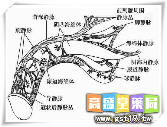 1766146101760731.jpg 54554.jpg