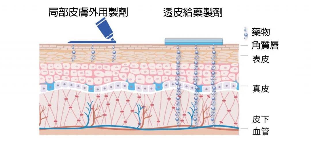 1766457997388073.jpg 泰坦凝膠與皮膚的作用.jpg
