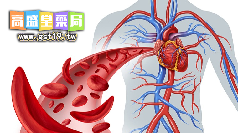 1767927860437566.jpg 651651.jpg