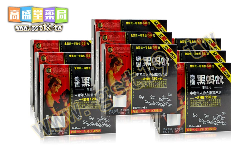 德國黑螞蟻.jpg