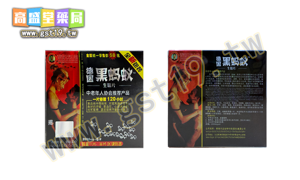 德國黑螞蟻1.jpg
